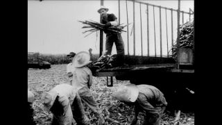 Link to Video | black-and-white photography