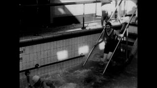 Link to Video | cruise, cruise ship