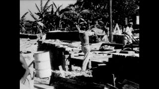 Link to Video | black-and-white photography