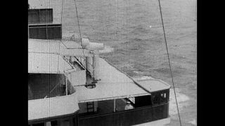 Link to Video | cruise, cruise ship