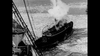 Link to Video | cruise, cruise ship