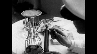 Link to Video | cruise, cruise ship