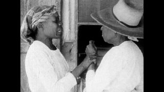 Link to Video | cruise, cruise ship