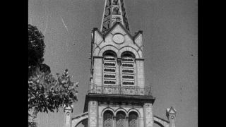 Link to Video | cruise, cruise ship