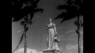 Link to Video | cruise, cruise ship