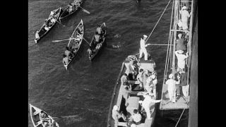 Link to Video | cruise, cruise ship