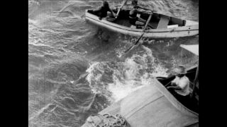 Link to Video | cruise, cruise ship