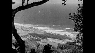 Link to Video | cruise, cruise ship