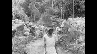 Link to Video | black-and-white photography