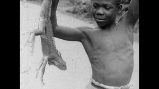 Link to Video | black-and-white photography