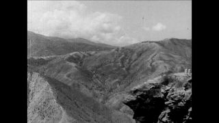 Link to Video | black-and-white photography