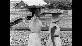 Link to Video | black-and-white photography