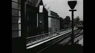 Link to Video