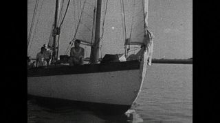 Link to Video | logistics, Germany, Bremen, port, city, Hanseatic city, black and white