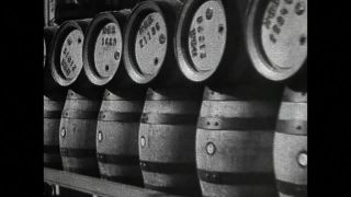 Link to Video | Germany, Bremen, city, Hanseatic city, black and white