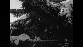 Link to Video