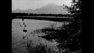 Link to Video | black-and-white photography