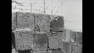 Link to Video | black and white