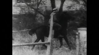 Link to Video | black and white