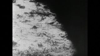 Link to Video | black and white