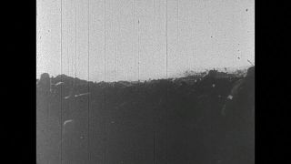 Link to Video | black and white