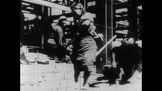 Link to Video | black and white