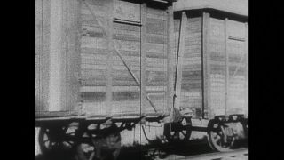 Link to Video | black and white