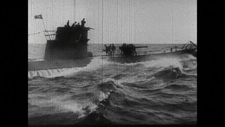 Link to Video | black and white