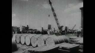 Link to Video | black and white