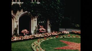 Link zum Video | Farbe