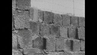 Link to Video | black and white