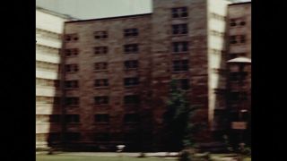 Link to Video | color
