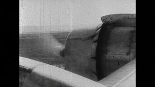 Link to Video | black and white