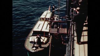 Link zum Video | Farbe