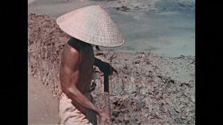 Link to Video | color