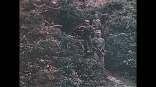 Link to Video | color
