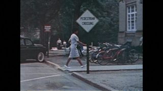 Link to Video | color