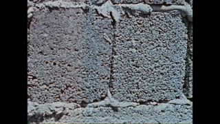 Link to Video | color