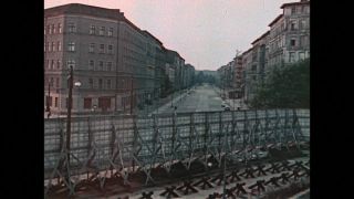 Link to Video | color