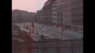 Link to Video | color