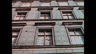 Link to Video | color