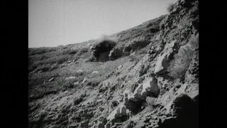 Link to Video | New York, motor car, private transport, 1939, United States of America, road transport, antique car, black and white