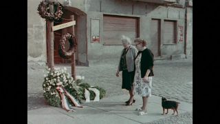 Link to Video