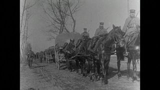 Link to Video | black and white