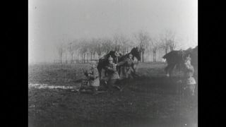 Link to Video | black and white