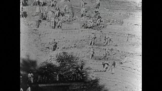 Link to Video | black and white