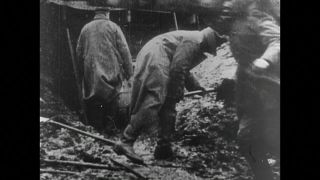 Link to Video | black and white