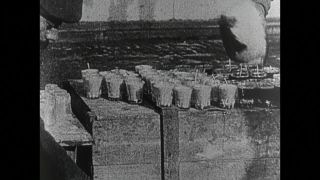 Link to Video | black and white