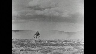 Link to Video | black and white