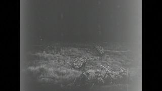 Link to Video | black and white